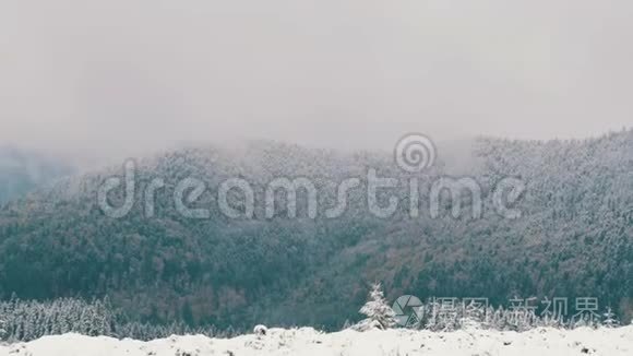 远处看着白雪覆盖的树梢。 喀尔巴阡山十月，高原第一场雪