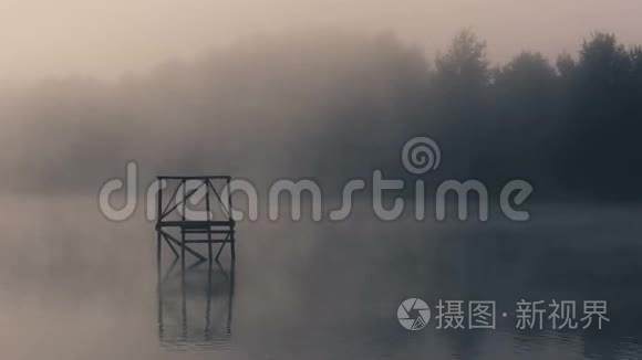 早晨雾蒙蒙的池塘里视频