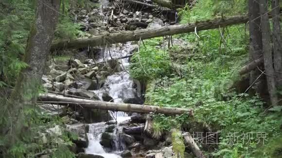 放大。林间山水山溪