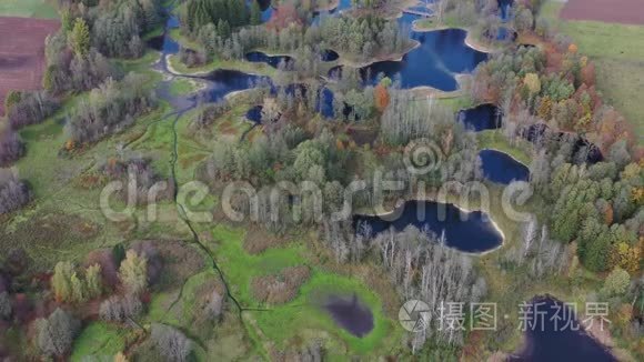 美丽的秋天景观，有树林、湖泊和小径，鸟瞰