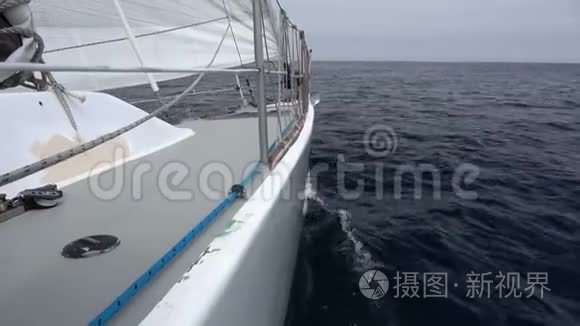 出海探险视频