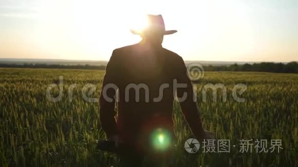 一个农民走过一个绿色的麦田，用平板电脑研究作物生长。 在麦田上日落。 农学家