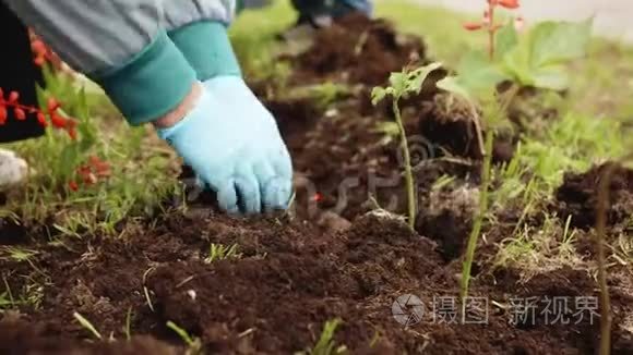 女植花城公园花园绿意盎然视频