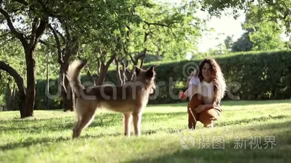 夏天，一个年轻漂亮的卷发女人在公园里和她的狗玩耍