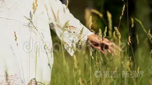 女人`手在麦田里奔跑的特写镜头