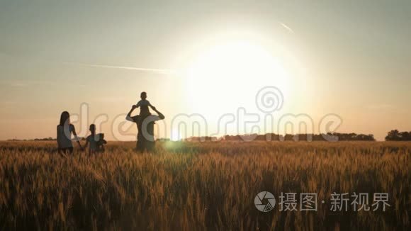 在温暖的夏日傍晚，一家人在夕阳下的麦田里散步。 小儿子坐在父亲的肩上