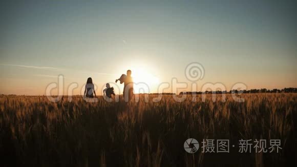 在温暖的夏日傍晚，一家人在夕阳下的麦田里散步。 小儿子坐在父亲的肩上