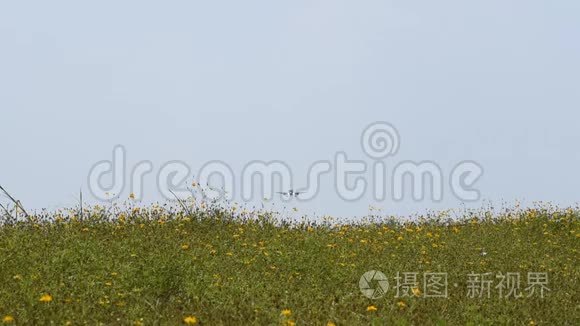 商业飞机在黄花地上空飞行视频