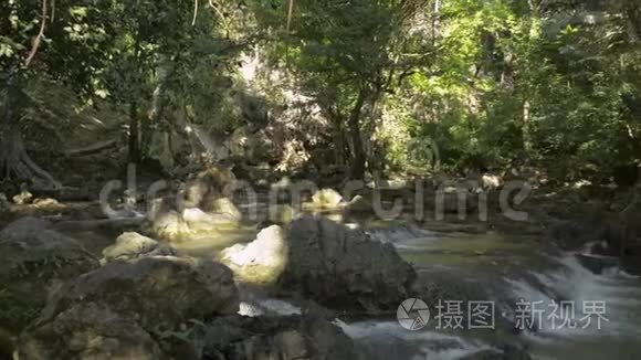 雨林树荫下的瀑布景观，淡水从山上流出。