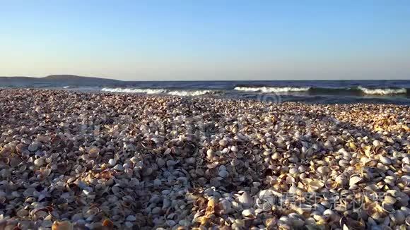 夏季傍晚日落时，大海的巨浪冲刷着沙滩上的贝壳.