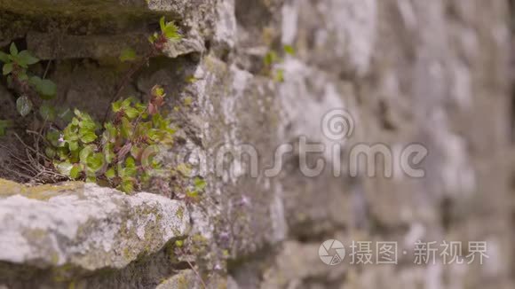 德比郡历史古堡破墙破窗视频