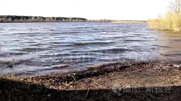 春天在一条深河上浪视频
