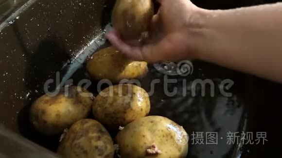 在水里洗生土豆视频