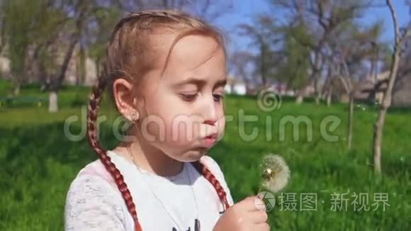 可爱的小女孩在户外吹蒲公英花。 快乐的孩子在春天公园玩得开心。