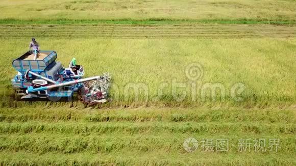 收割机水稻场地面跟踪视频