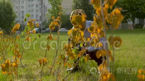 灌木林切根系统检验员视频