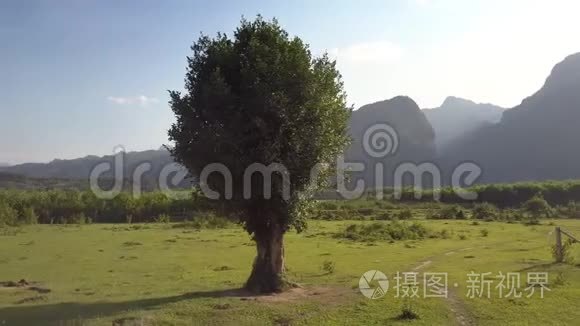 在农田与天空中围绕树木的空中运动