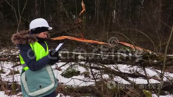 女林业雇员在被毁树木附近写作