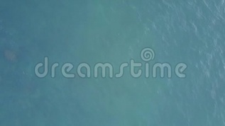 梅花透明底素材视频素材 梅花透明底素材视频模板下载 摄图网视频库 梅花透明底素材视频素材 梅花透明底素材视频模板下载 摄图网视频库
