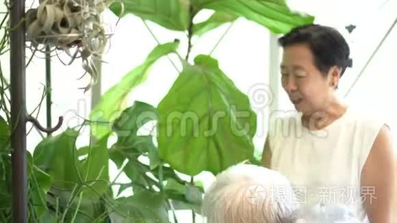 亚洲长者夫妇爱好室内花园绿化视频