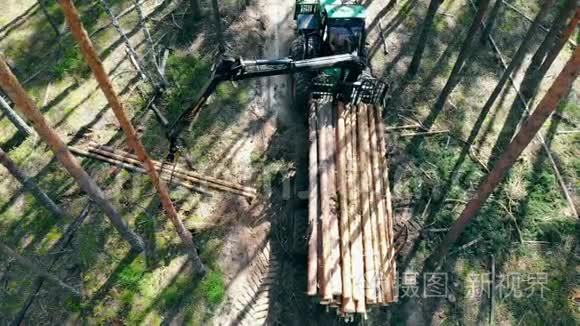 砍伐的木材被收割机重新安置视频