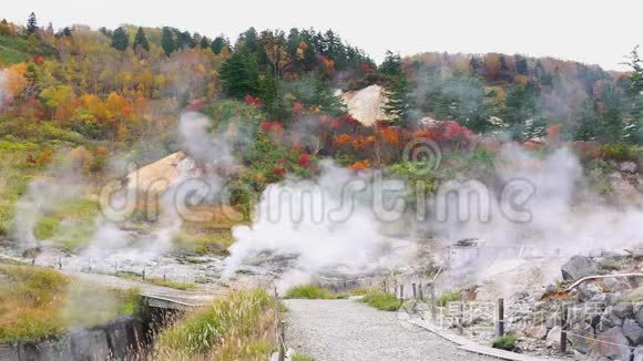 秋季复科无余翁森彩叶山风景视频