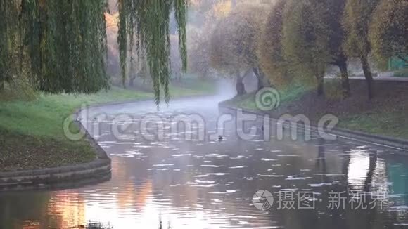 秋天的河流在水的上空有雾视频