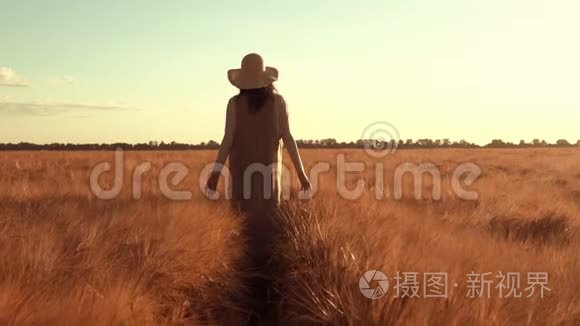 地主带着成熟的小麦走过田野视频