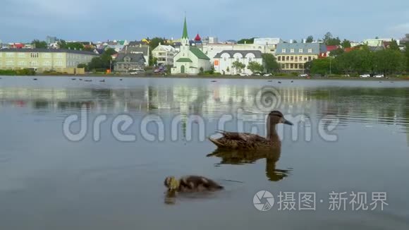 雷克雅未克附近的城市景观视频