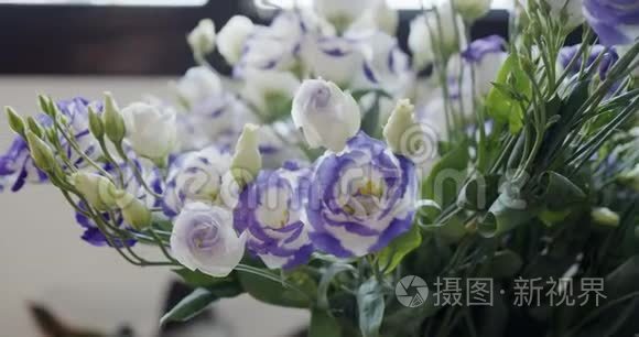 白色和紫色玫瑰作为惊喜礼物视频