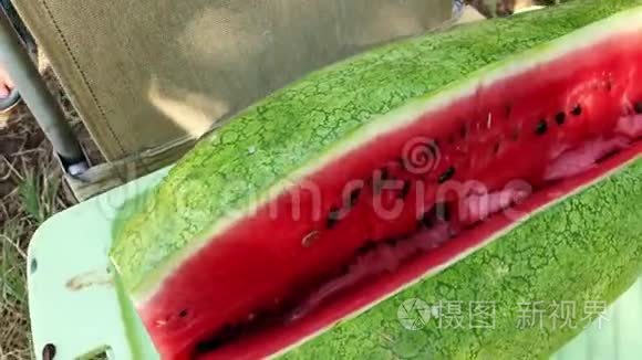 美味可口的红绿色切片西瓜视频