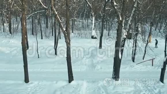 晴朗的雪天和滑雪者在树林里