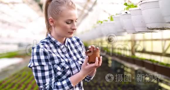 年轻的女性植物学家检查盆栽植物