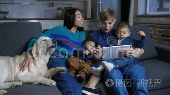 家庭宠物狗在线浏览平板电脑视频