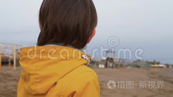 海滩上可爱小男孩的画像视频