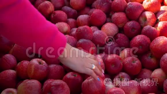 妇女在农贸市场购买新鲜苹果视频