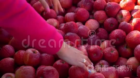 接近妇女在市场购买新鲜苹果