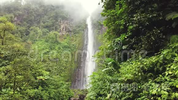 梦幻瀑布和神奇的自然。 丛林森林里的野河。 加勒比，瓜德罗普。
