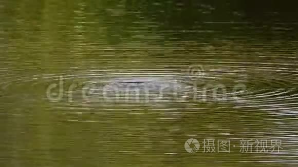 水滴和波浪在湖水上