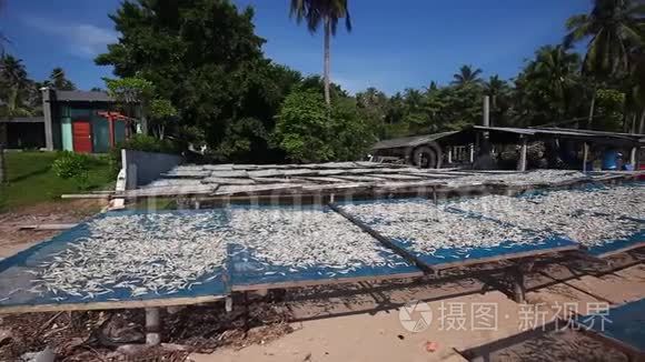 泰国海岸上挂满了小干鱼网的钓鱼篮