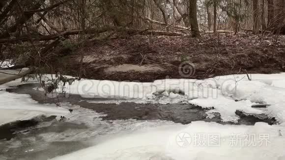 树林里结冰的河流视频