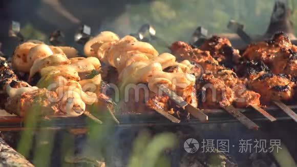 猪肉串用热炭烤在火上视频