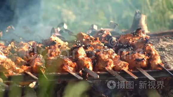 猪肉串用热炭烤在火上视频