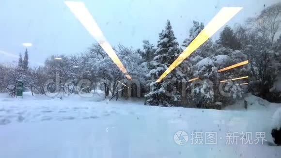 落在树上的雪