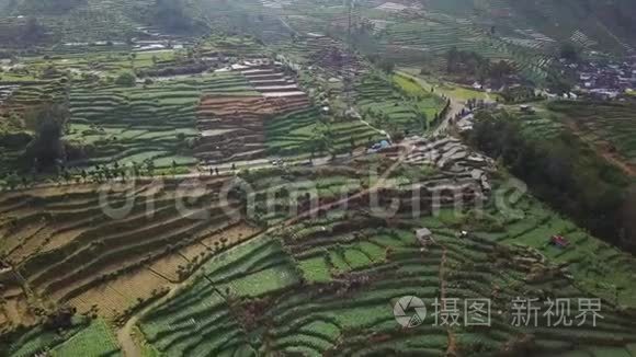 带发射塔的农田空中影像视频