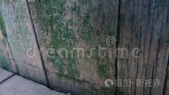 旧漆木栅栏的质感视频