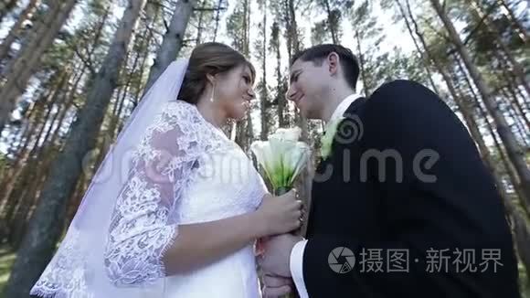 新婚快乐的浪漫画像视频