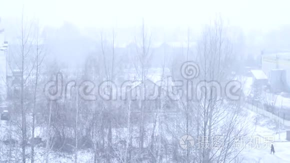 冬天城市背景下的飞雪视频