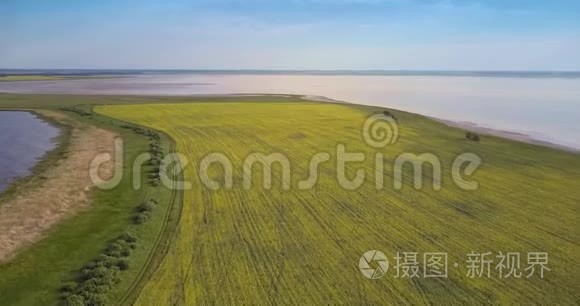 傍晚的全景黄色油菜田和大湖