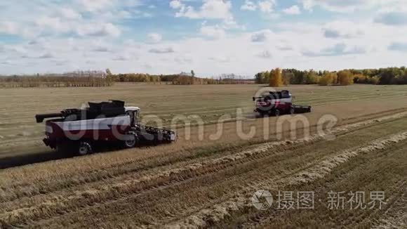 收割机结合在工业秋季农场黑麦场工作